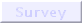 Survey